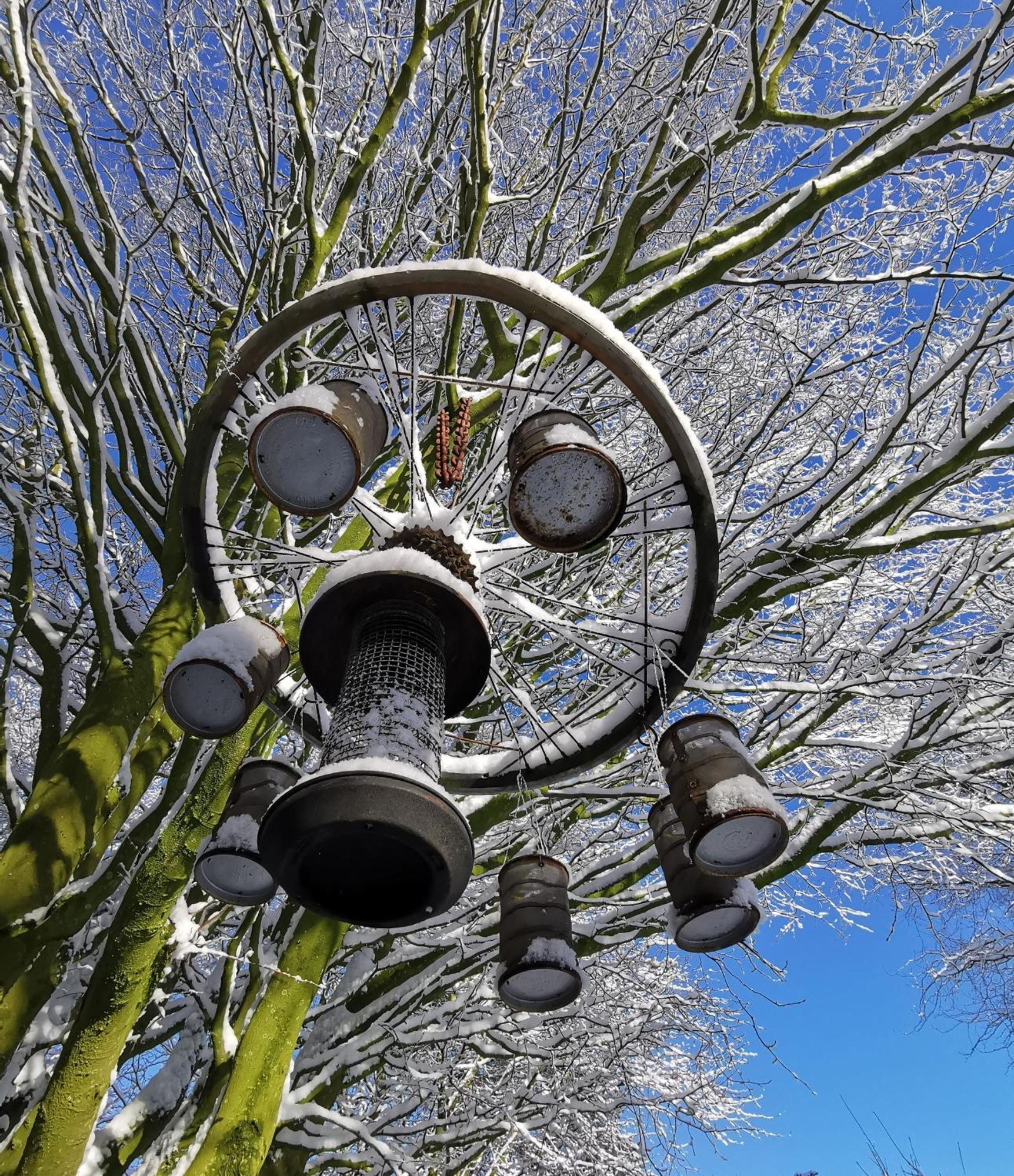 Doughery Den The Dark Hedges Hideaway Armoy Exterior foto